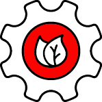 verificacion-descompresion-gnc